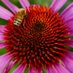 Women In Landscape Design (@landscapewomen) Twitter profile photo Women In Landscape Design (@landscapewomen) Twitter profile photo