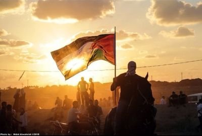 SomoudPS's profile picture. #FreePalestine