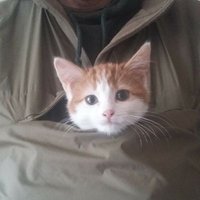 Rupee Von Gingerballs (@rupeevon) 's Twitter Profile Photo Rupee Von Gingerballs (@rupeevon) 's Twitter Profile Photo