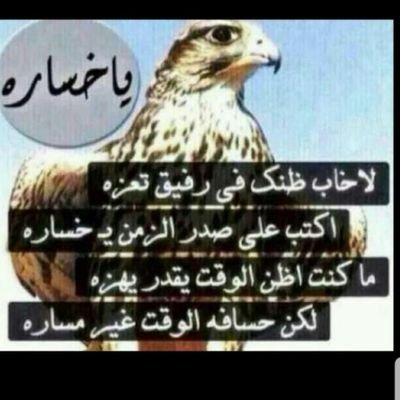 AkcVLnW82IXaiGT's profile picture. 