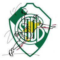 Handball Defensores de Banfield (@handballdefe_) 's Twitter Profile