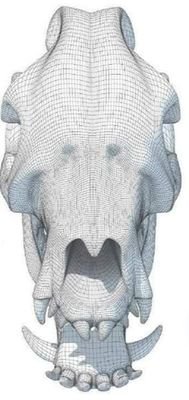 TaphosN's profile picture. TAPHOS-NOMOS is an interdisciplinary symposium on taphonomic and post-mortem research in archaeology, forensic science and palaeontology. 2nd-4th November 2018.