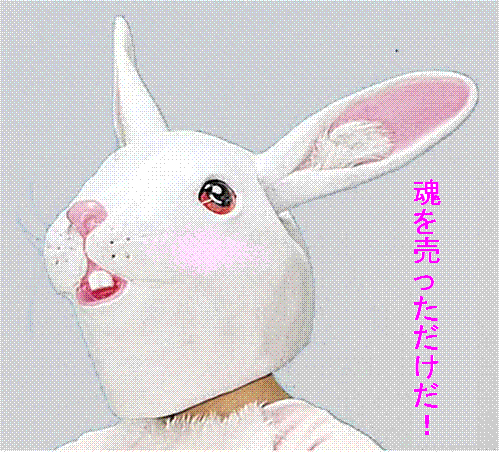 うさぎに魂を売っただけです。
