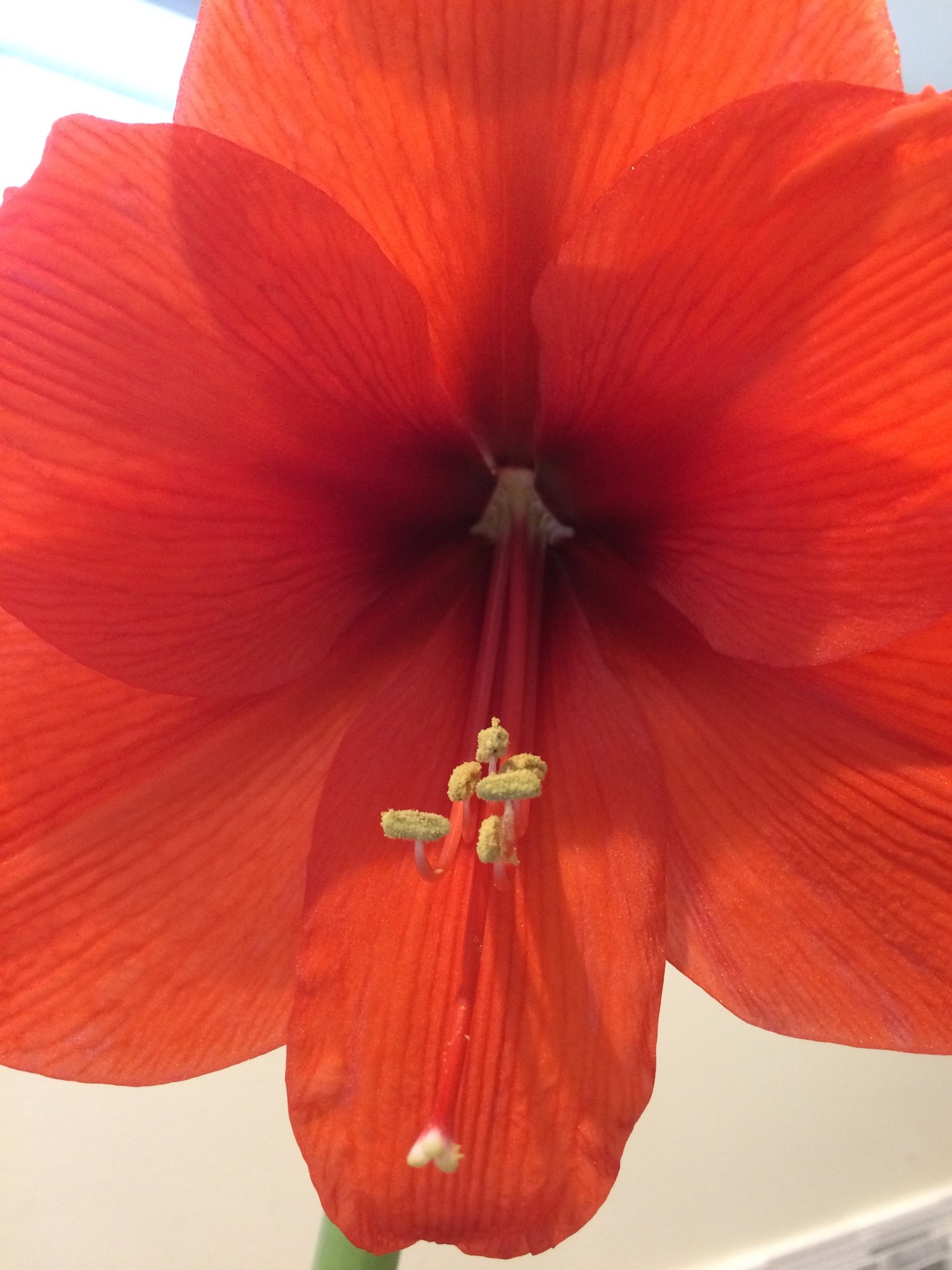 morganinpieces's profile picture. 