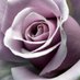 B.E. Boldman author (@beboldmanbeth) Twitter profile photo B.E. Boldman author (@beboldmanbeth) Twitter profile photo