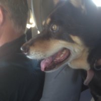 Joe Hopwood (@joe_hopwood3) 's Twitter Profile Photo