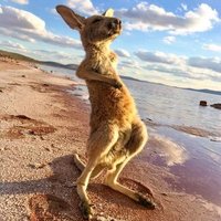 Дмитрий (@serbinov_d) 's Twitter Profile