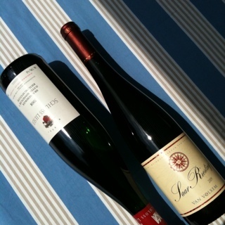 fe20251's profile picture. 