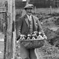 Cateran Ecomuseum (@cateraneco) 's Twitter Profile