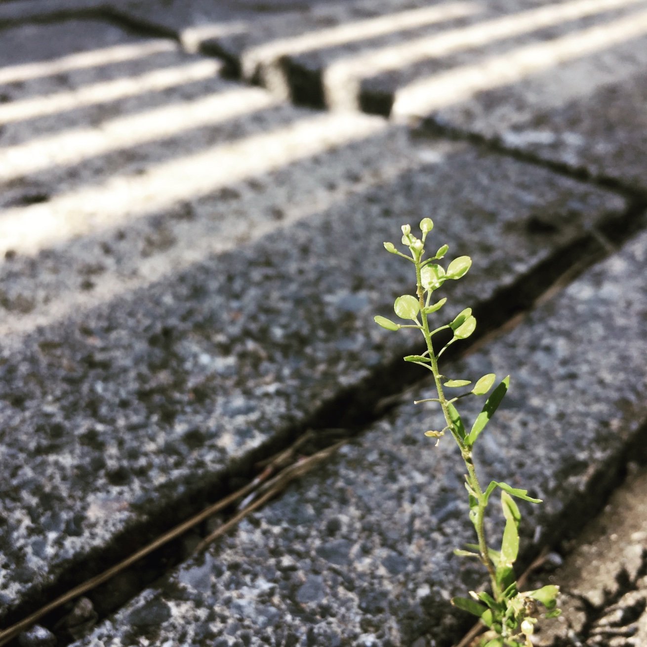 9EbP68hvU93xwcE's profile picture. 