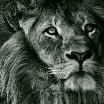 etMofasa's profile picture. #Impeccablewriter #SexyBodyPhile #JOGsBOY #YorubaBoy #LoverOfGoodMusic ✌