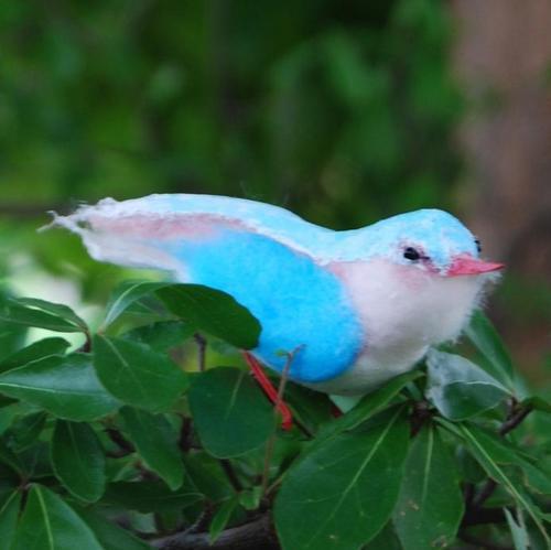 I'm Digi, a cheeky bird who's been kidnapped. Luckily I have Twitter, so keep checking my tweets to help find me and you could win a digital lomo camera!