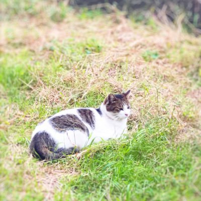 ななみ Ar Twitter お肉のバンジージャンプや By佐藤瑠海 Http T Co Dgjodf01g8 ななみ Ar Twitter お肉のバンジージャンプや By佐藤瑠海 Http T Co Dgjodf01g8