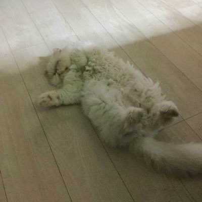 iVxwW2CyWq2m8Fq's profile picture. 