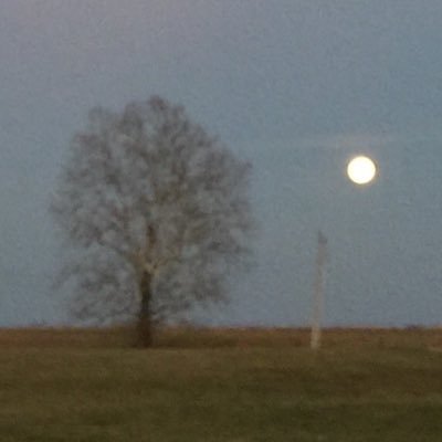 LEhrett's profile picture. Christ follower, wife of a wonderful man, mom of two amazing young adults, lover of people.