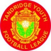 Tandridge Youth Football League (@tandridgeyfl) 's Twitter Profile