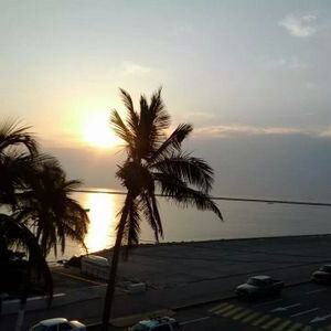 guia_angel's profile picture. 