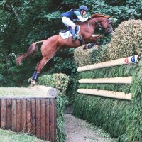 Simon Grieve (@simonjgrieve) 's Twitter Profile