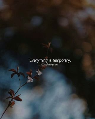 XiAnDM's profile picture. Music & Entertainment Entertainment Music