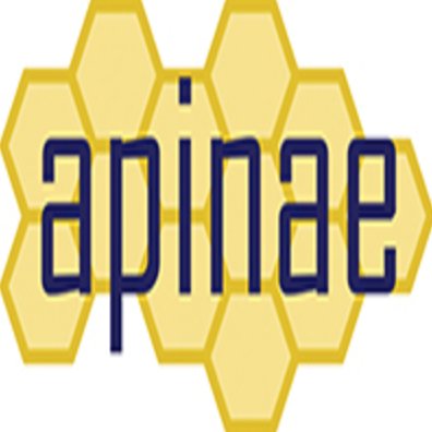 Apinae10's profile picture. Apinae brings people, projects and technology together in a way that is manageable & affordable.