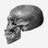 aboodi11181's profile image