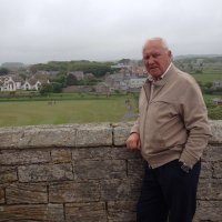 Roy Case (@case39roy) 's Twitter Profile