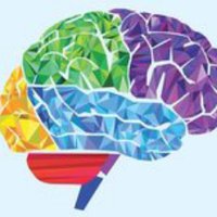 The Columbia Neuroscience Society (@thecns_cu) 's Twitter Profile