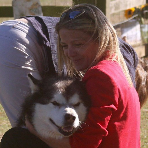 Sled dog racing, mountain climbing, rock face loving, road bike hammering, world traveling solo explorer & single free-spirit. Make adventure a lifestyle :D