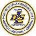 DLS Pilots Alumni (@DLSPilotsAlumni) Twitter profile photo