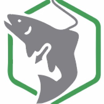 The #1 site for bowfishing on a budget! You can find everything for budget bowfishing including bows, reels, arrows, lights and more!