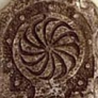 Sergio Carracedo (@sercarracedo) 's Twitter Profile Photo