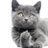 missy_zaccaro's avatar