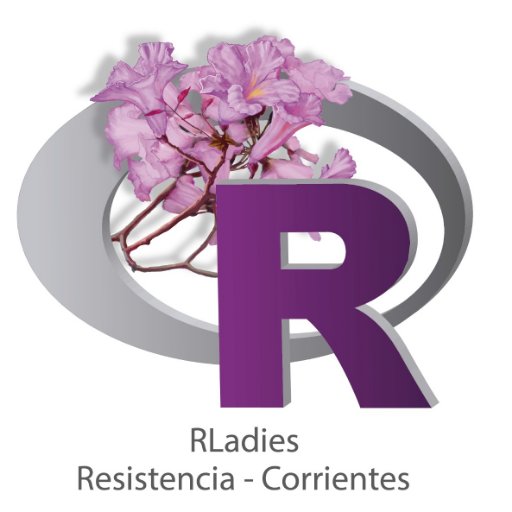 RLadies Resistencia Corrientes es parte de una organización global encargada de promover la diversidad de género en la comunidad #R #rstats #rladies