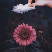 هوارة بنى هاشم . (@fjvbryiitotgekg) 's Twitter Profile