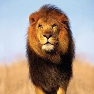 deK2C88mREMtFFl's profile picture. 