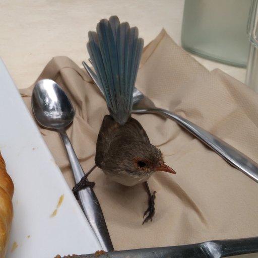 monikerofmine's profile picture. 