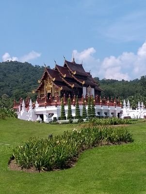 Phasakorn19's profile picture. Trader