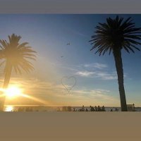 Alvaro González (@alvaro_glz_) 's Twitter Profile