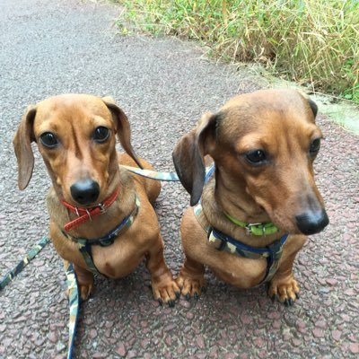 株式のスリルを毎日楽しみながら暮らしています。リミックスポイント応援しています📣