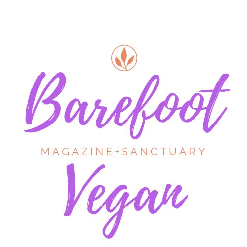 #Vegan magazine #microsanctuary and farm. Feeding bellies + souls