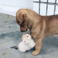 Mustafa Turgut (@mustafa89847557) Twitter profile photo