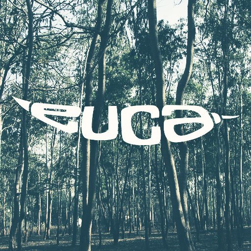 | artists • bookings • touring • events | Aiming for the skies and blossoming to life above the sunburnt canopies.