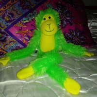 Filomena (@filomen30847137) 's Twitter Profile