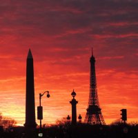 Tu Paris combien ? (@ptitsparigots) 's Twitter Profile