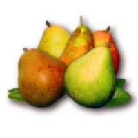Pear Stairs (@pearstairs) 's Twitter Profile