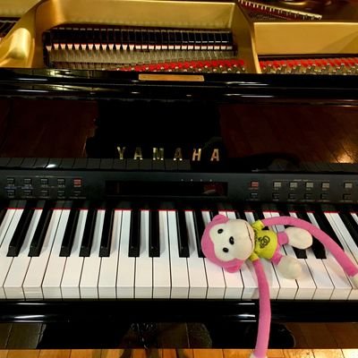 Saki Piano Saaakiii Piano Twitter