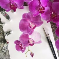 Eunike Nugroho (@inikeke) 's Twitter Profile