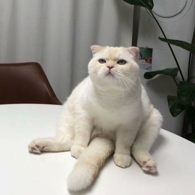 pppee97's profile picture. 🍣