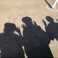 trish (@trishpuharich) 's Twitter Profile Photo