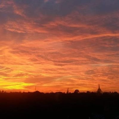 cayman7mile's profile picture. 